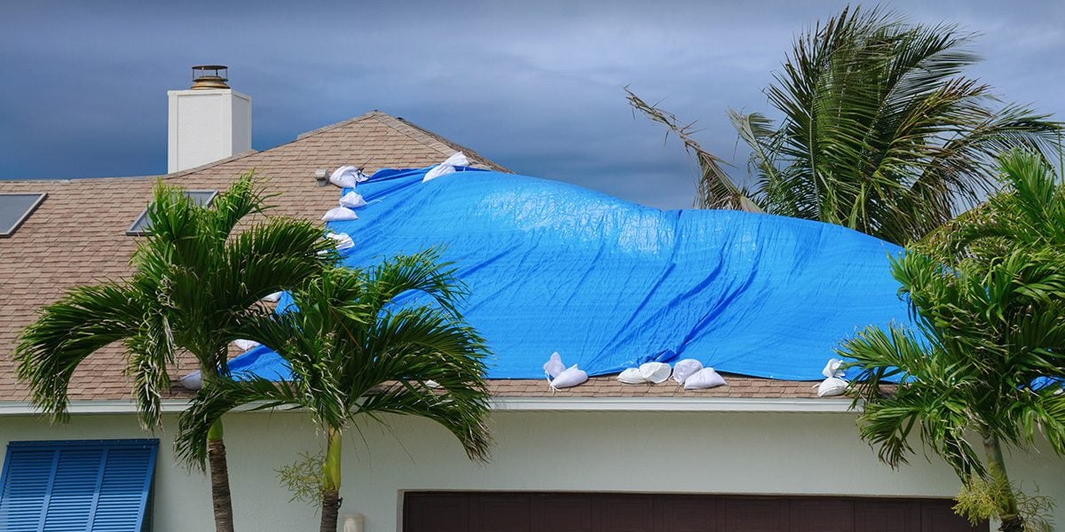 What Is Wind Mitigation (& 3 Important Things To Know)